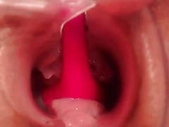 sGirls presents: Pregnant pussy - the inside look