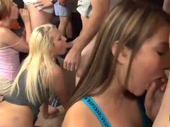 sGirls presents: Scorching hot babes getting banged hard at sex party